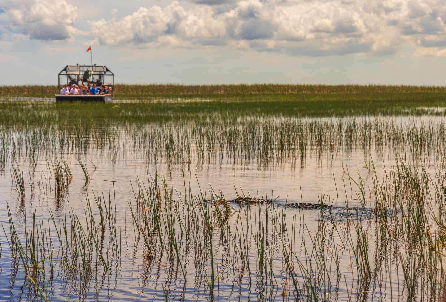 Urlaub in Miami Beach – Airboat in den Everglades