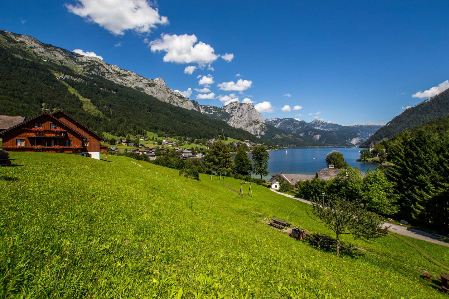 Bergwiese im Salzburger Land