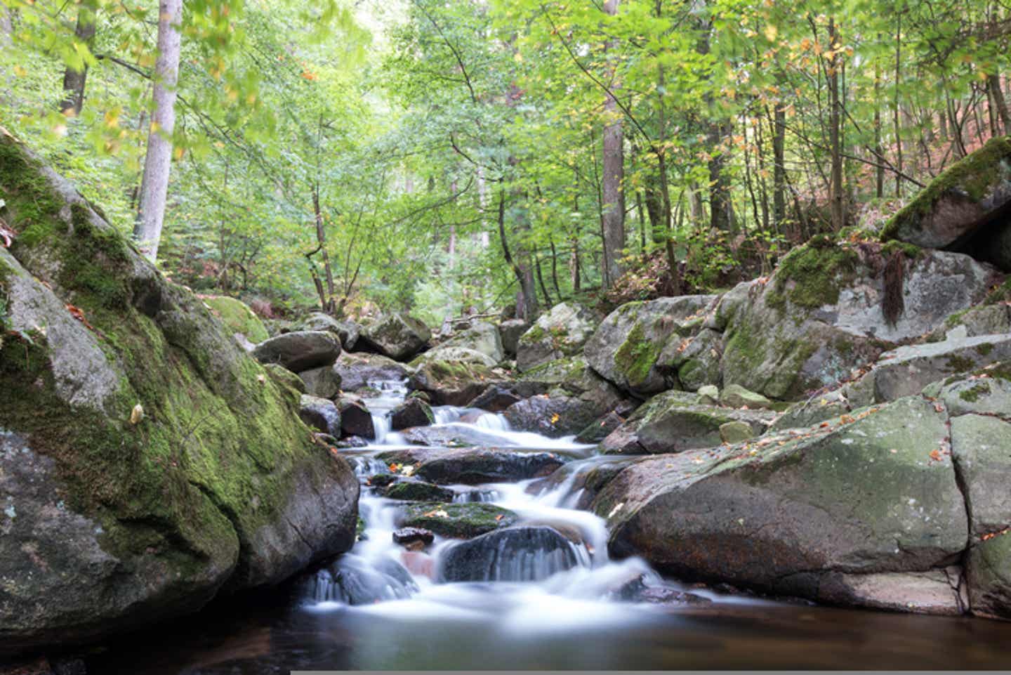 Idyllischer Bach in den Harzer Bergen