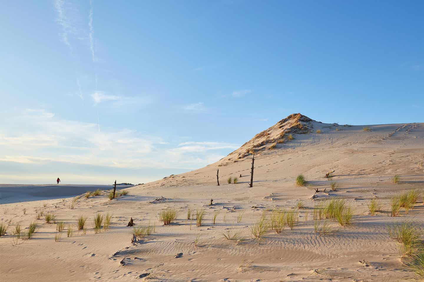 Große Wanderdüne mit Meerblick im Ostsee-Urlaub