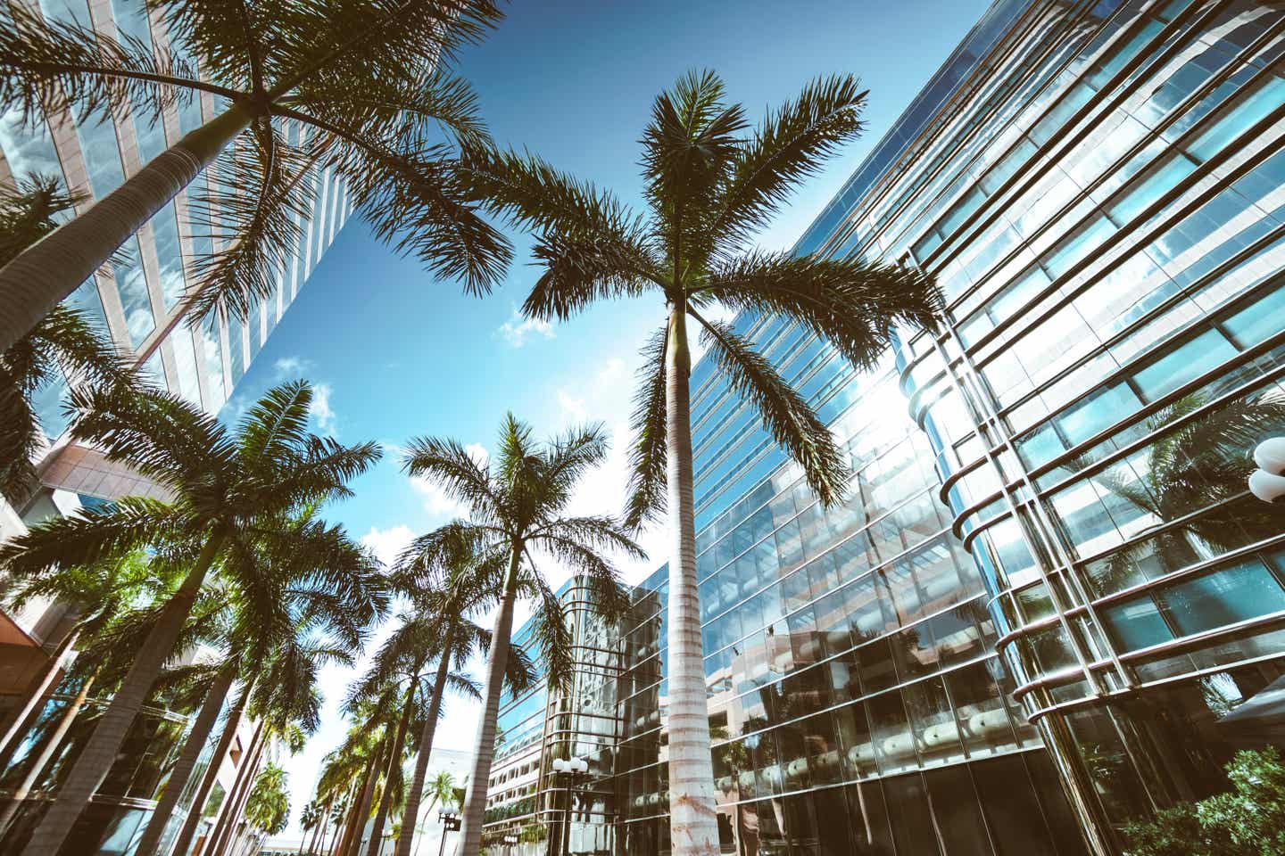 Palmen zwischen gläsernden Gebäuden: Florida und Miami bereisen