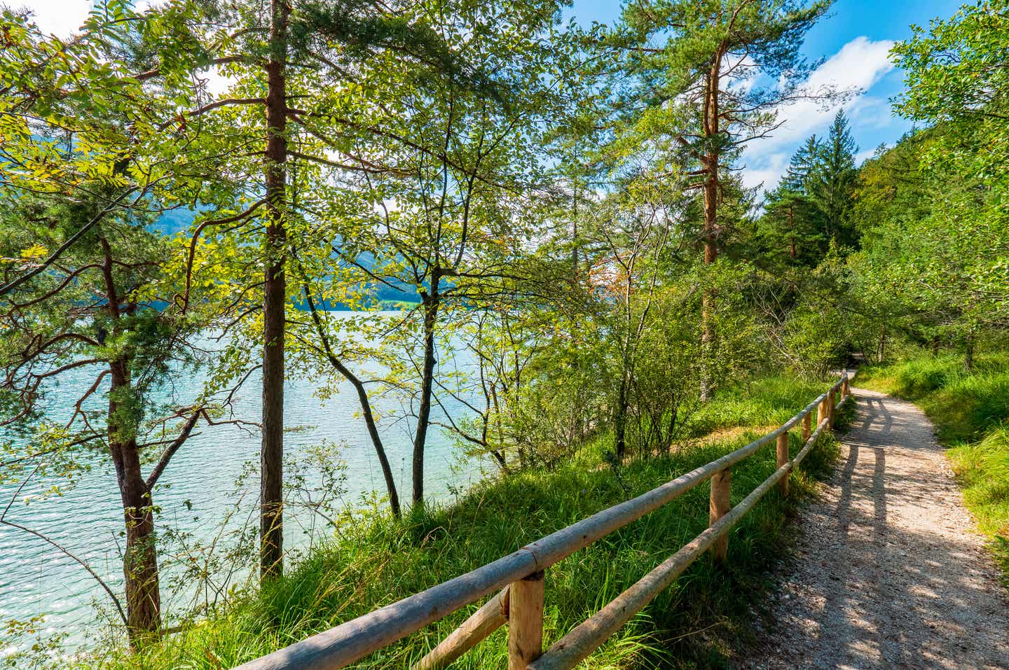 Fuschlsee Salzkammergut Wanderweg Rundweg am Seeufer