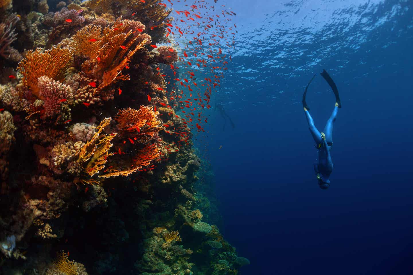 Taucher im Roten Meer bei Hurghada