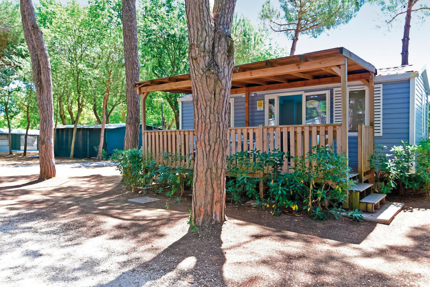 Wohnbeispiel Lodge Comfort (Hunde erlaubt)