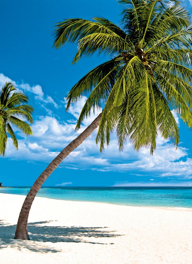 Hotel in der Dominikanischen Republik buchen Strand in der Dominikanischen Republik