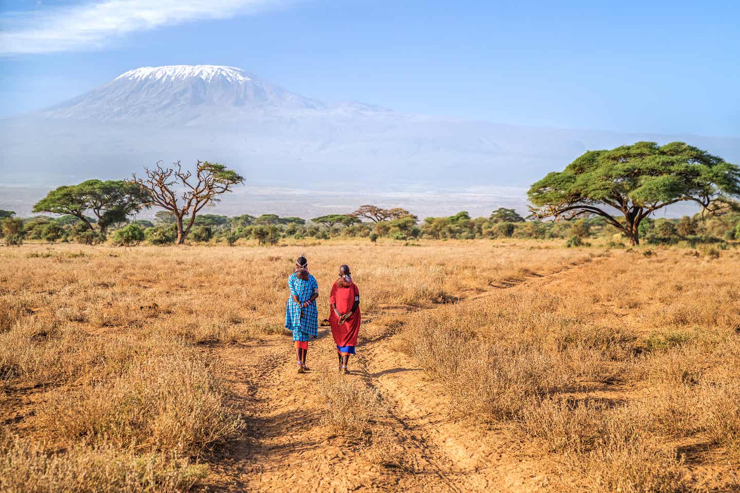 Zwei Frauen der Massai sind in traditionellen Kleidern vor Landschaft zu sehen