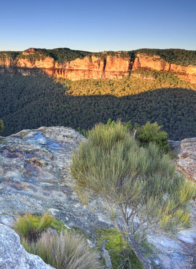 Blue-Mountains-Nationalpark in Australien Blue-Mountains-Nationalpark in Australien