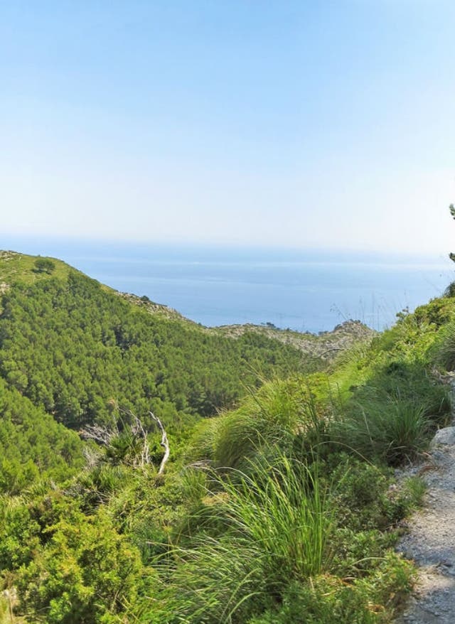 Zu den Angeboten Wanderurlaub Mallorca - Jetzt bei DERTOUR buchen