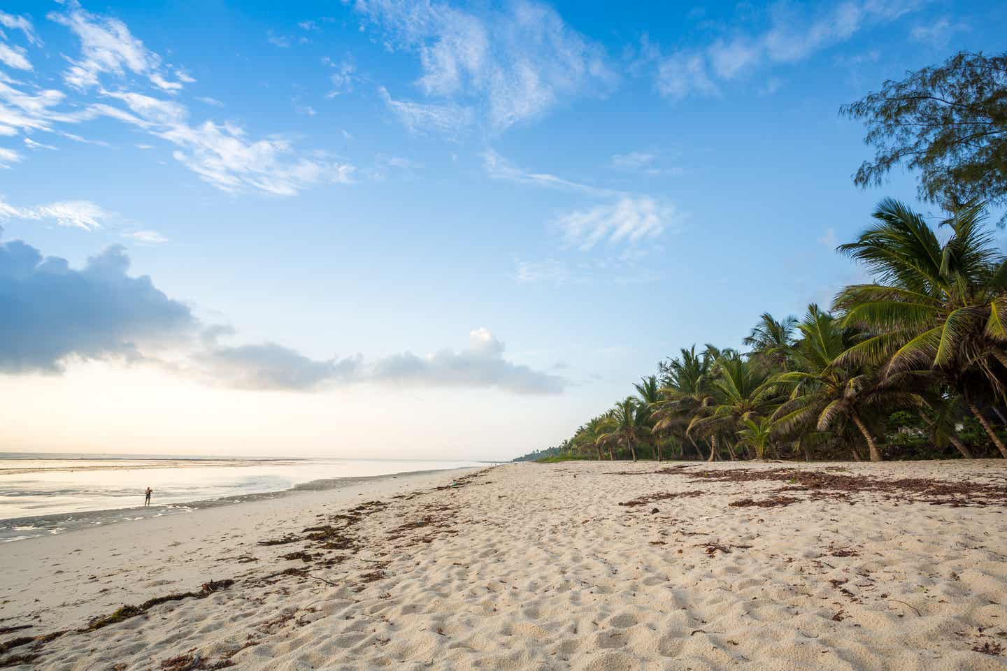 Kenia Strände: menschenleerer Strand