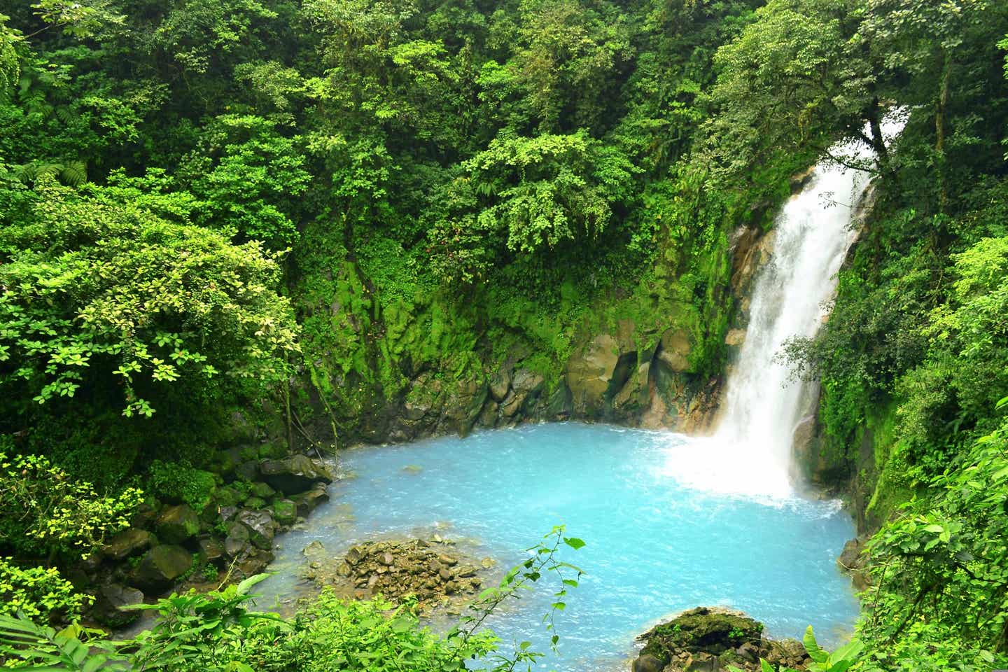 Costa Rica Tour Tipps: Wasserfall in grüner Umgebung