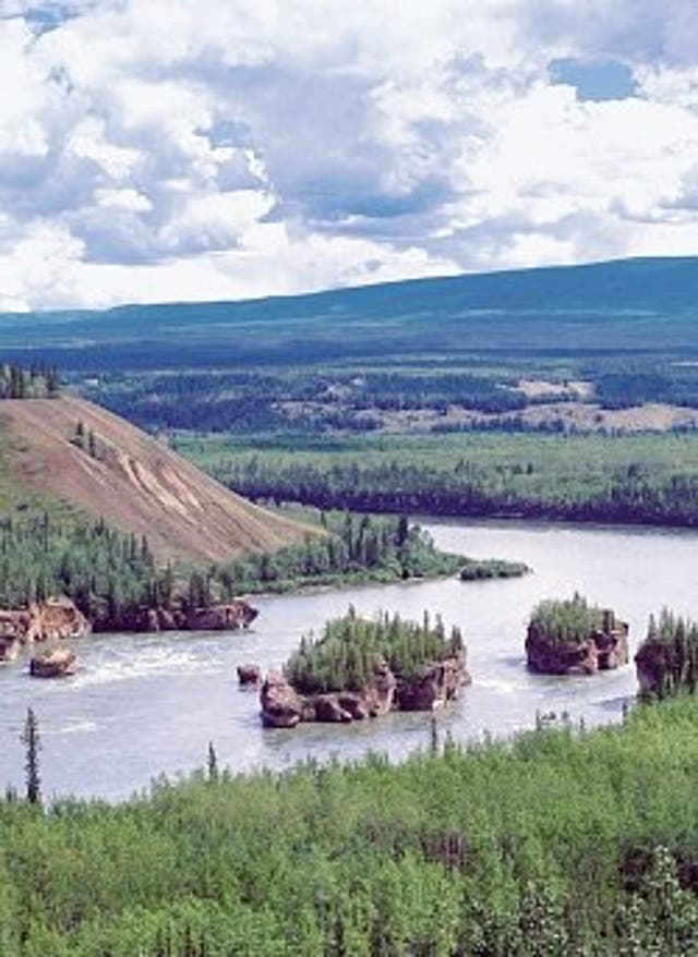 Zum Angebot Yukon Fluss mit Gebirge