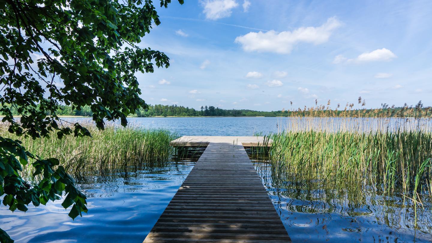 Wellnesshotel Mecklenburgische Seenplatte: Holzsteg am Krakower See