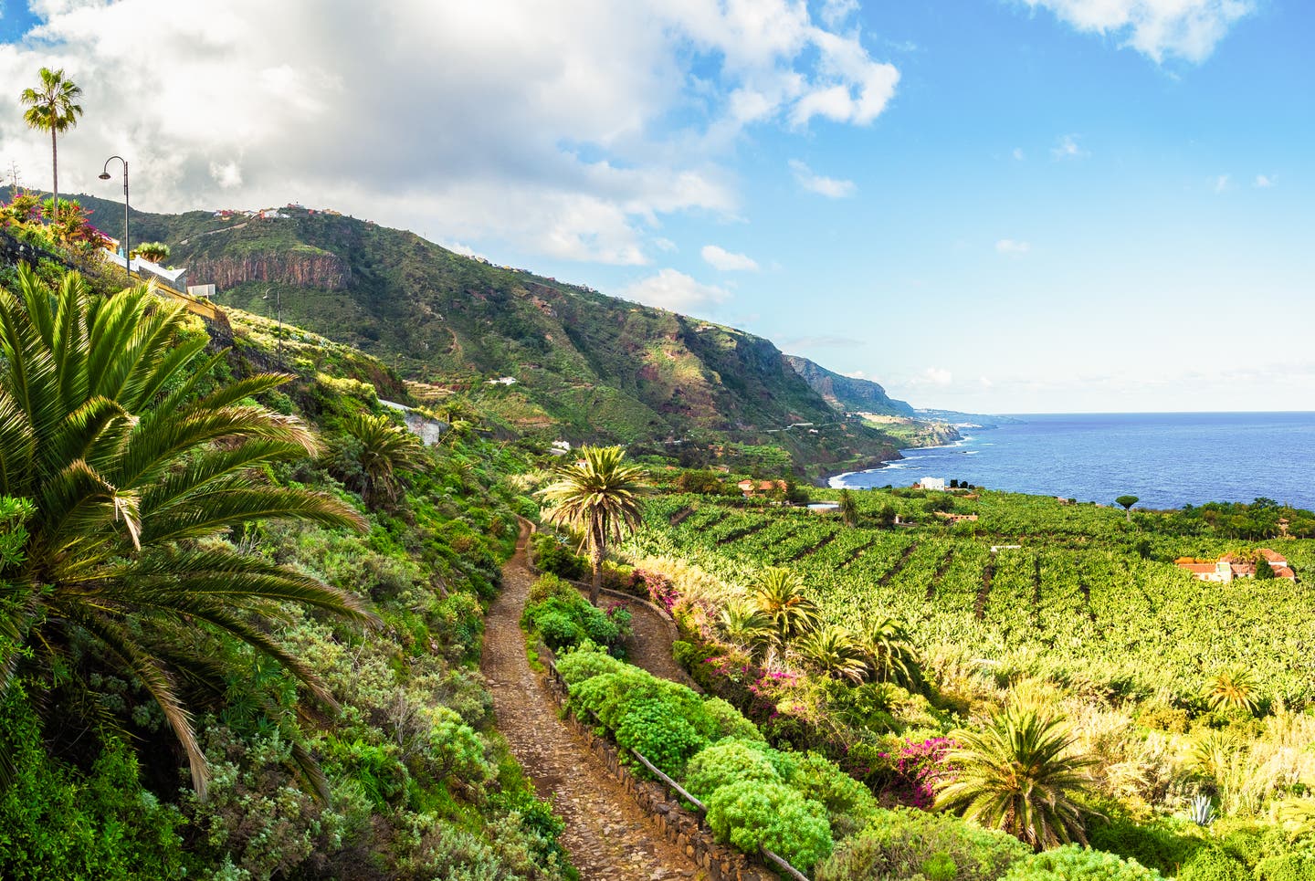 Winterurlaub auf den Kanaren – zum Beispiel auf Teneriffa