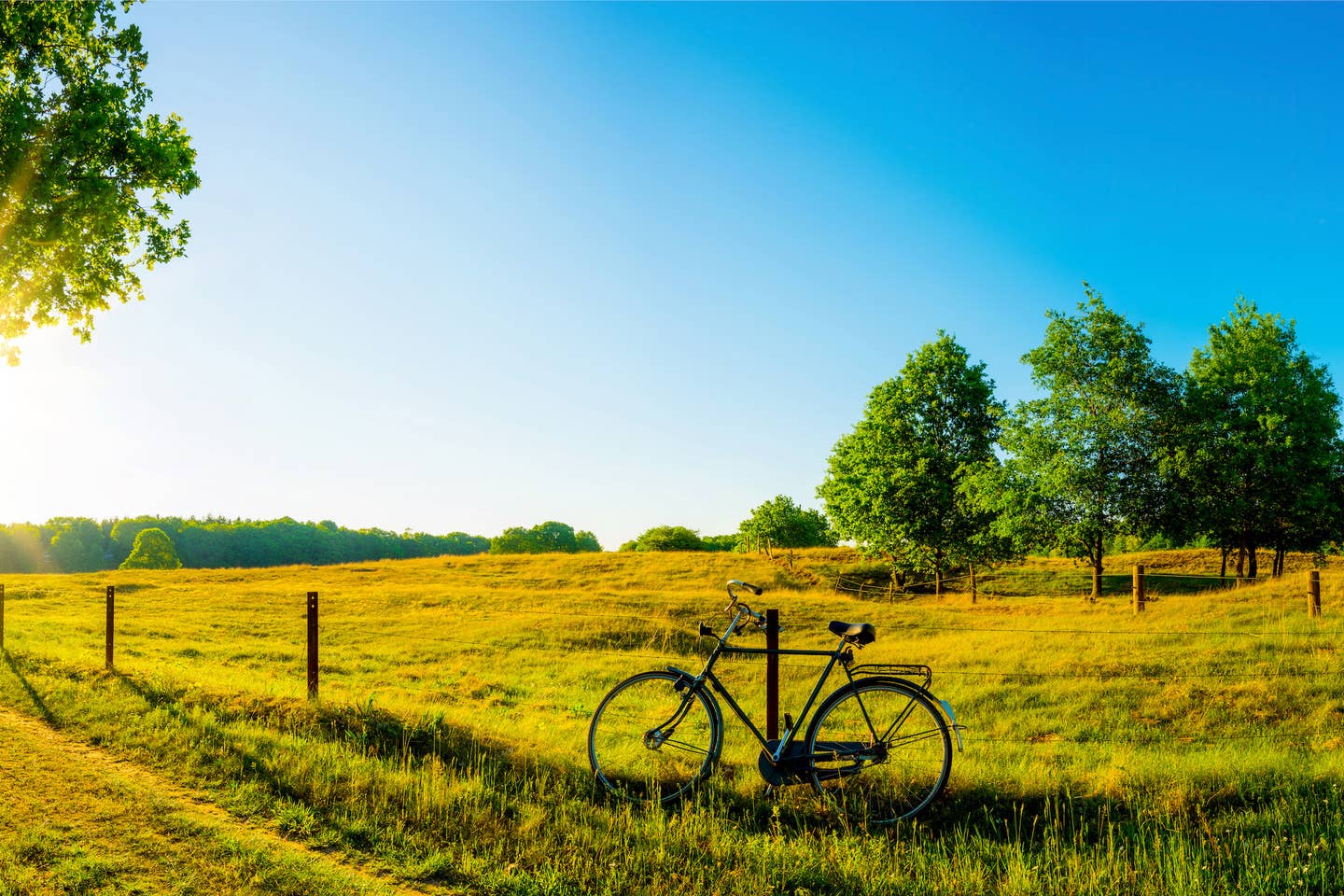 Fahrradurlaub Deutschland – die schönsten Regionen Deutschlands mit dem Fahrrad entdecken