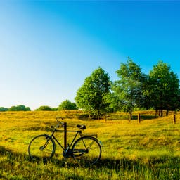 deutschland-fahrrad-auf-dem-feld-g-810038458.jpg