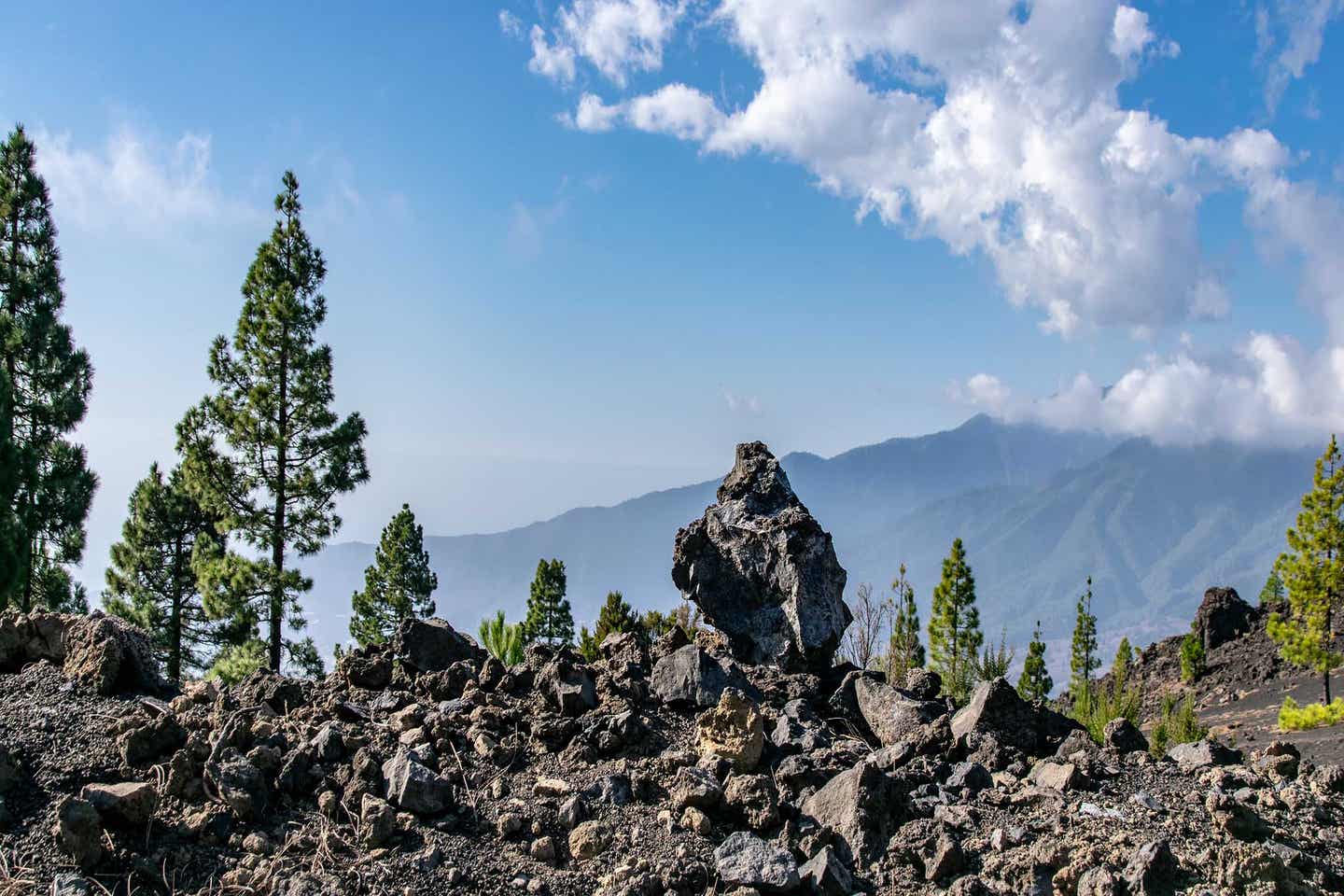 La Palma Mirador del Llano del Jable Felsen