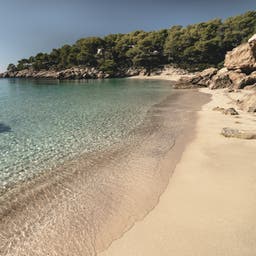 spanien-ibiza-cala-saladeta-strand-g-1292899986.jpg