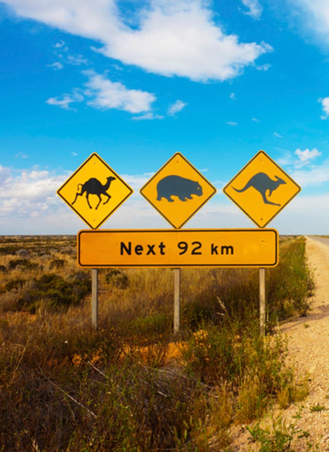 Road Trip durch Westaustralien