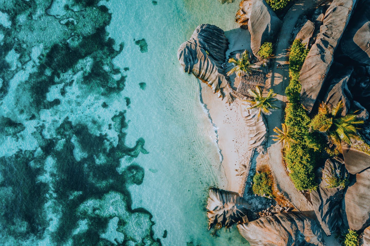 Ein Strand auf den Seychellen mit türkisblauem Wasser und weißem Sand, umgeben von exotischer Vegetation