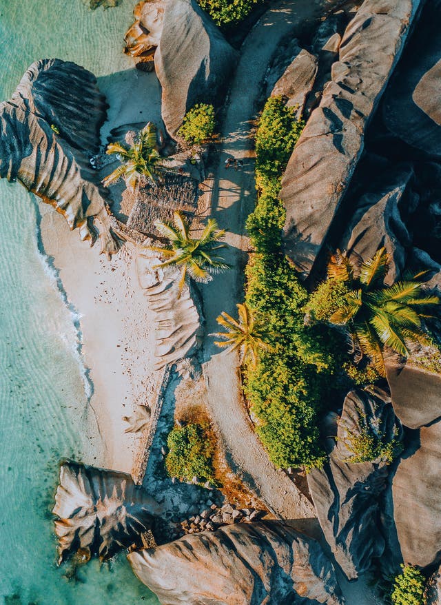 Seychellen Beste Reisezeit Ein Strand auf den Seychellen mit türkisblauem Wasser und weißem Sand, umgeben von exotischer Vegetation