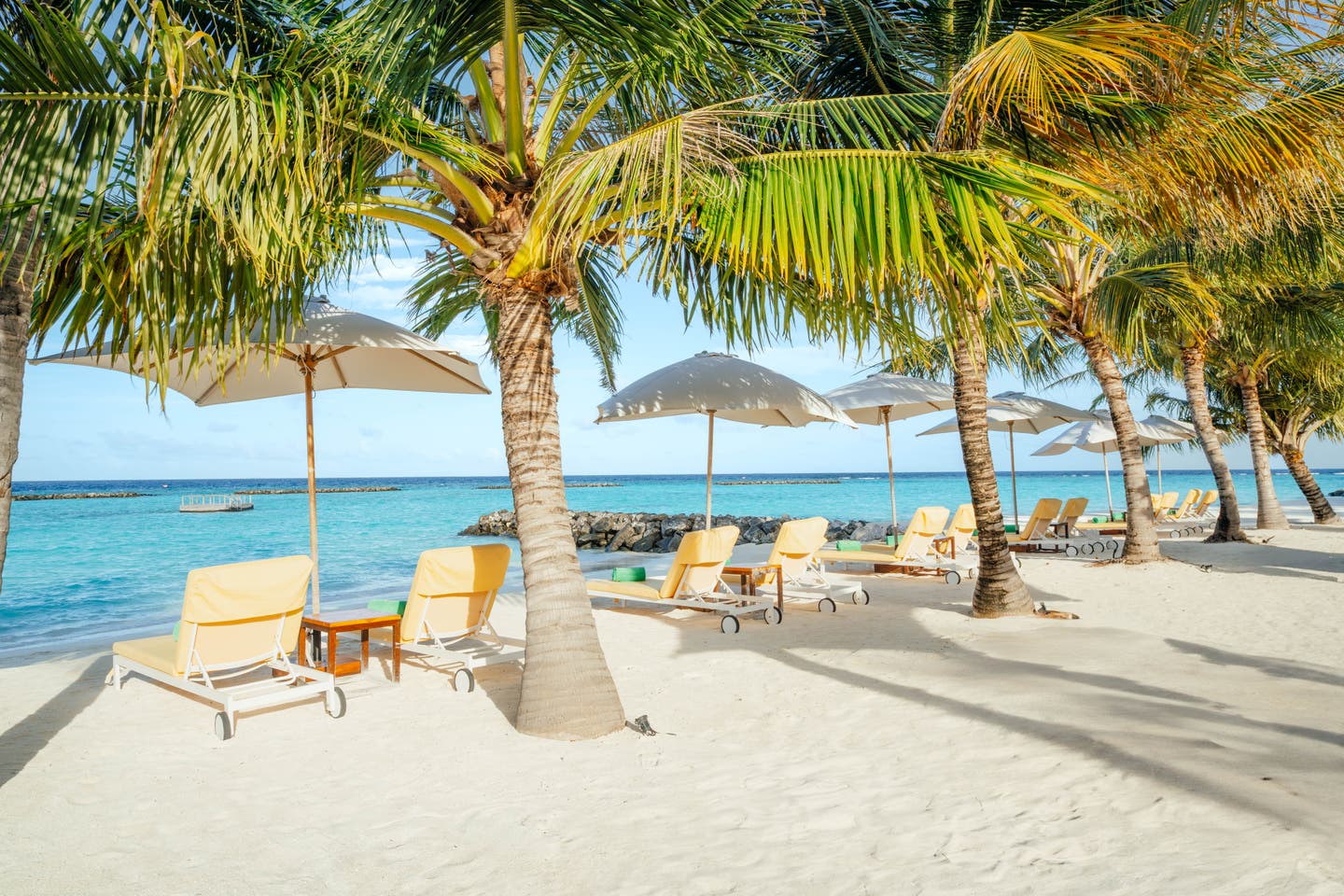Liegen zwischen Palmen auf dem Hotelstrand
