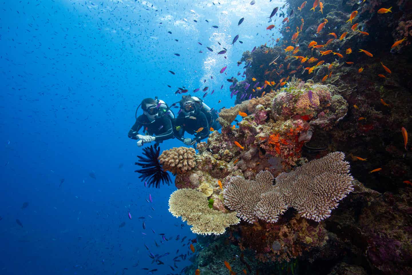 Great Barrier Reef