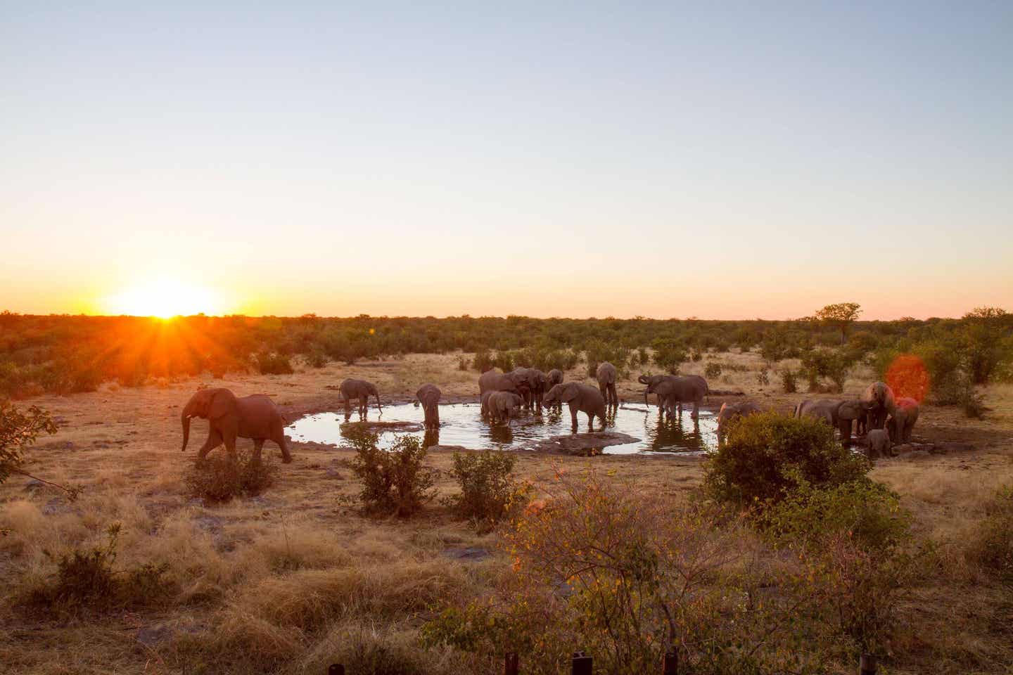 Namibia Highlights: Elefanten in freier Wildbahn