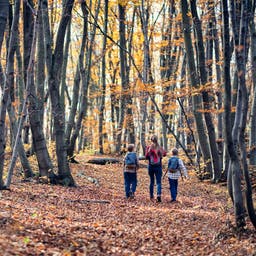 Familienhotels im Thüringer Wald