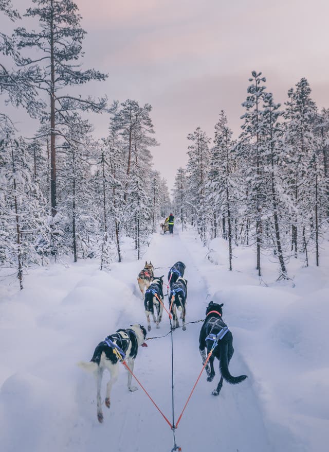 Zu den Angeboten Lappland