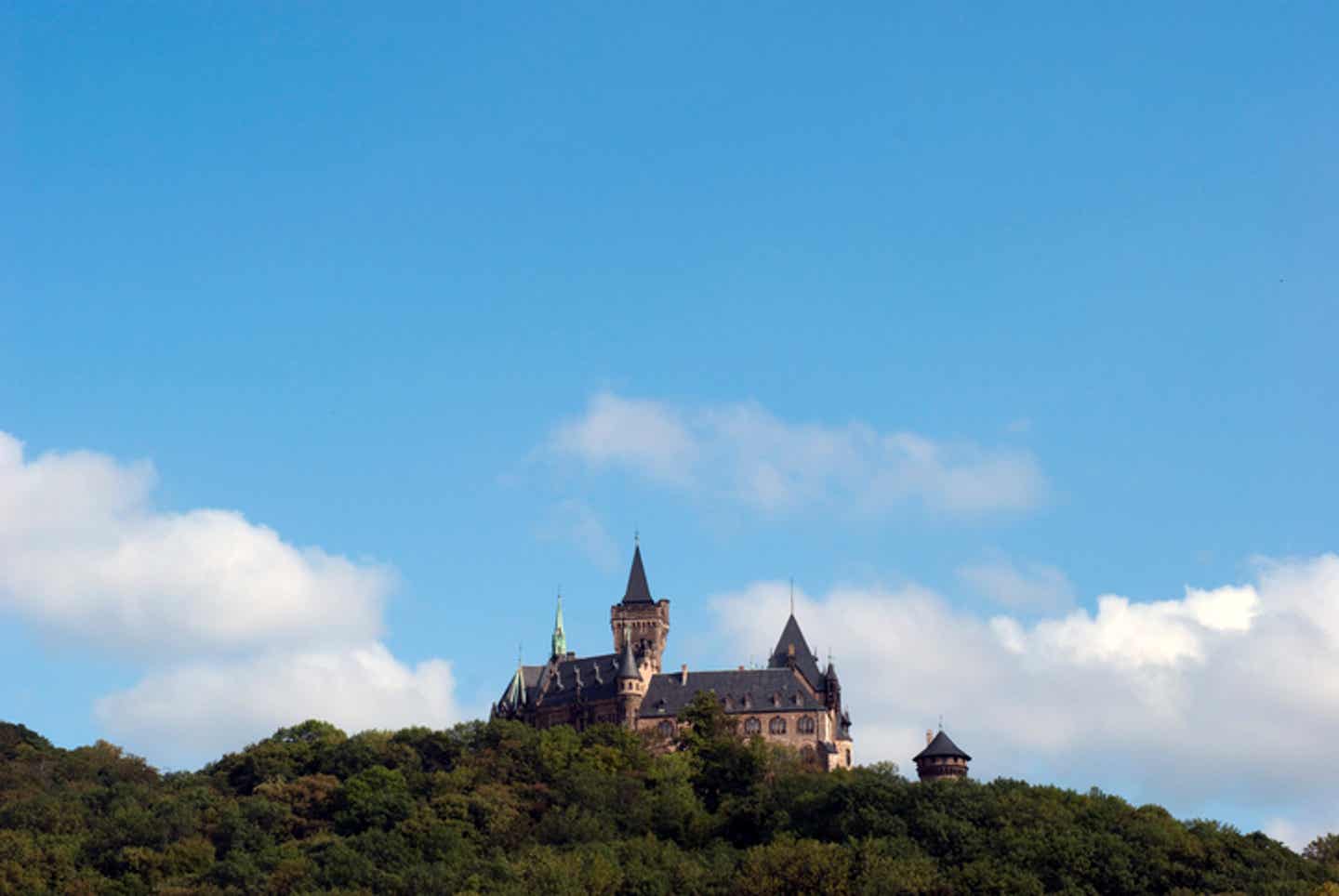 Wandern mit Blick auf das Schloss Wernigerode im Harz