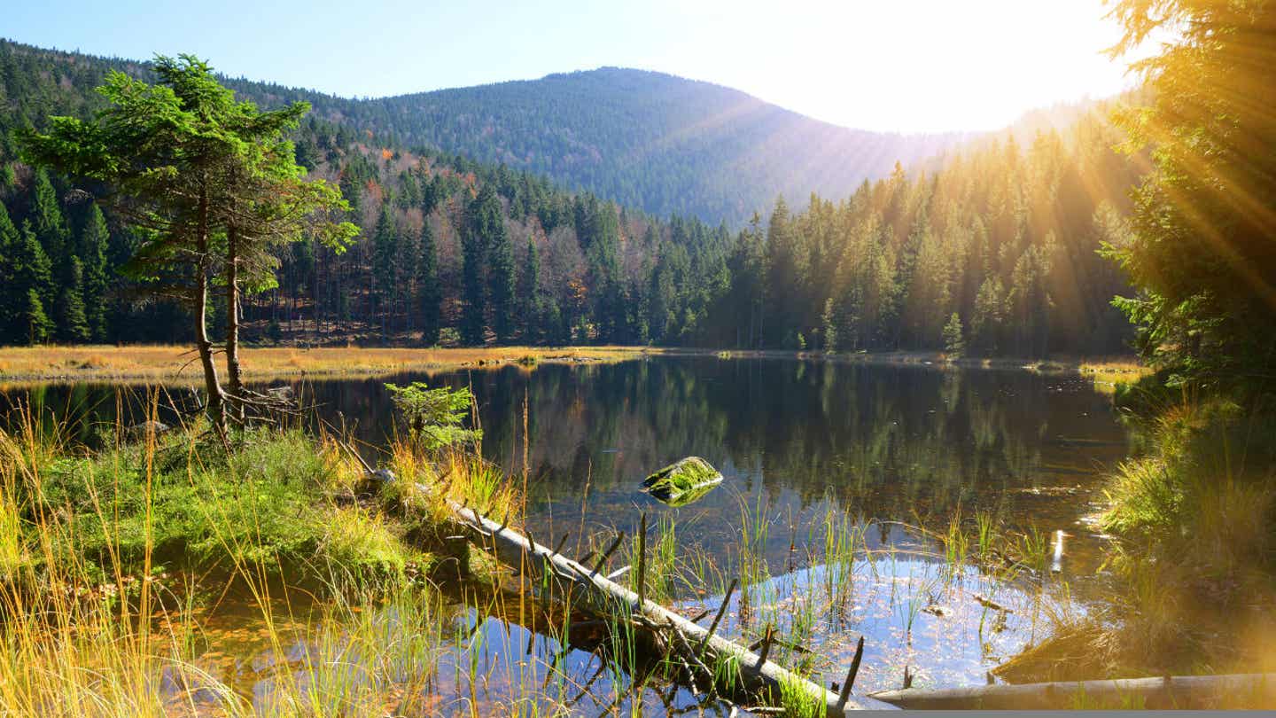Idyllischer See im Bayerischen Wald
