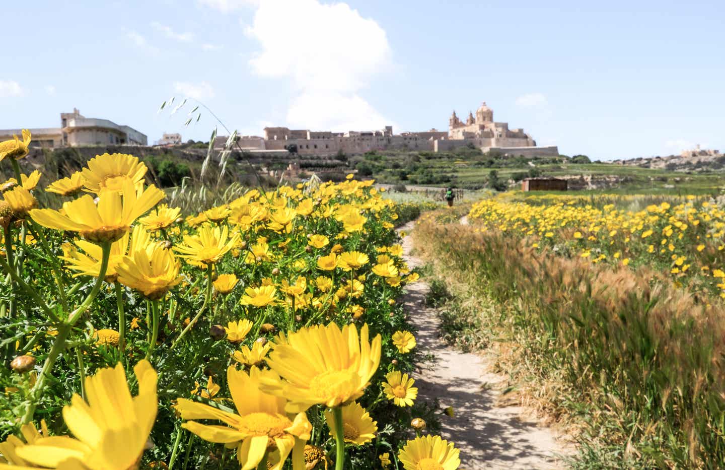 Die beste Reisezeit Maltas: im Frühling die Altstadt von Mdina erkunden