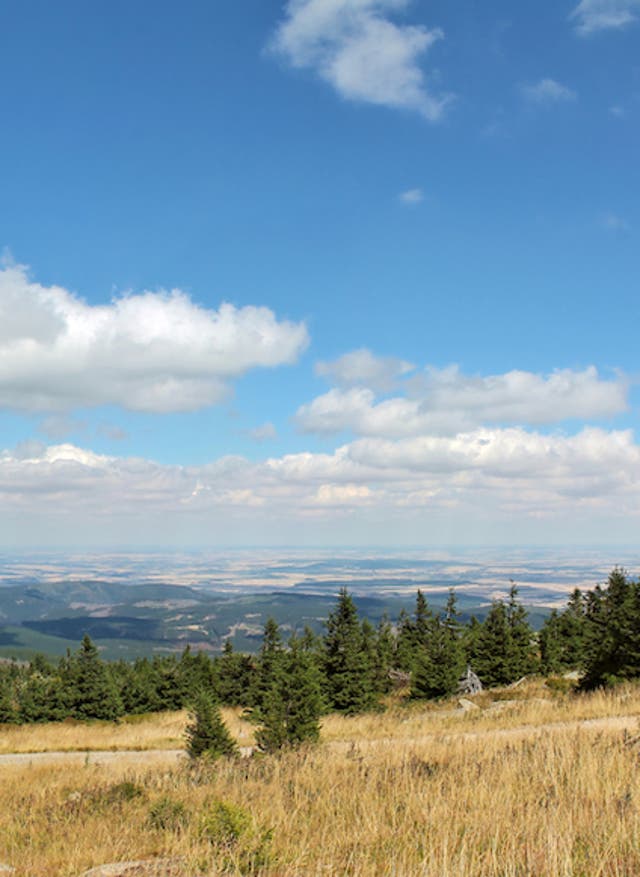 Hotel buchen Wanderurlaub in Wernigerode im Harz