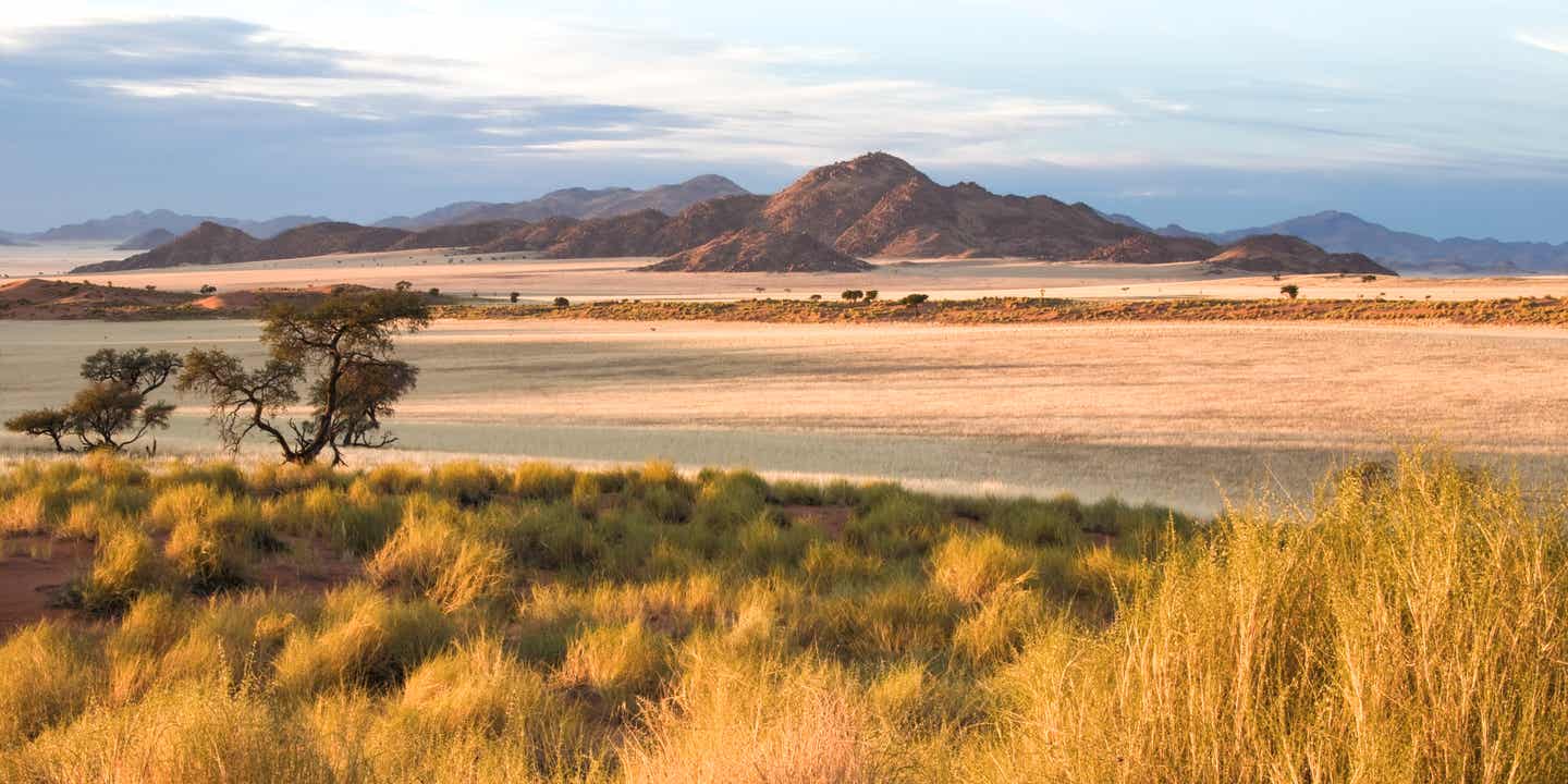 Beste Reisezeit Namibia: Sonnenuntergang über afrikanischer Savanne