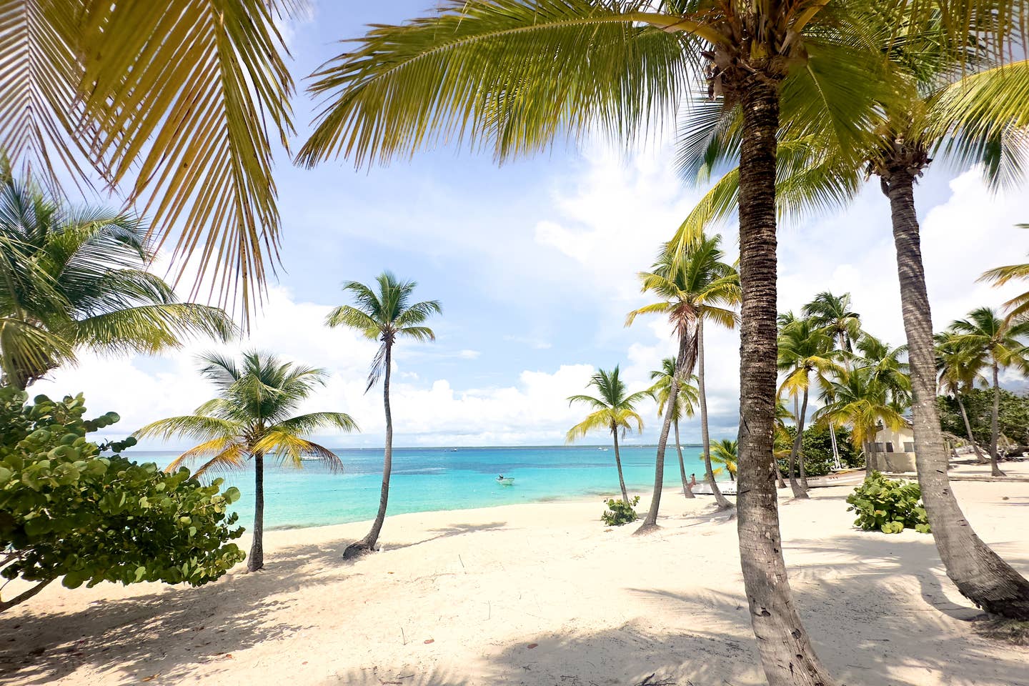 Last Minute in die Karibik und eine Auszeit am Strand verbringen