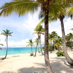 karibik-dom-rep-catalania-strand-mit-kokosnusspalmen-g-2007471784.jpg
