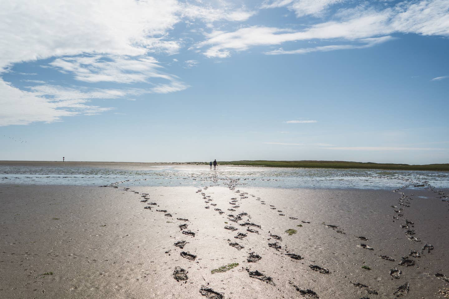 Nordsee Urlaub: Spuren im Wattenmeer bei Ebbe - im Hintergrund sieht man zwei Menschen spazieren