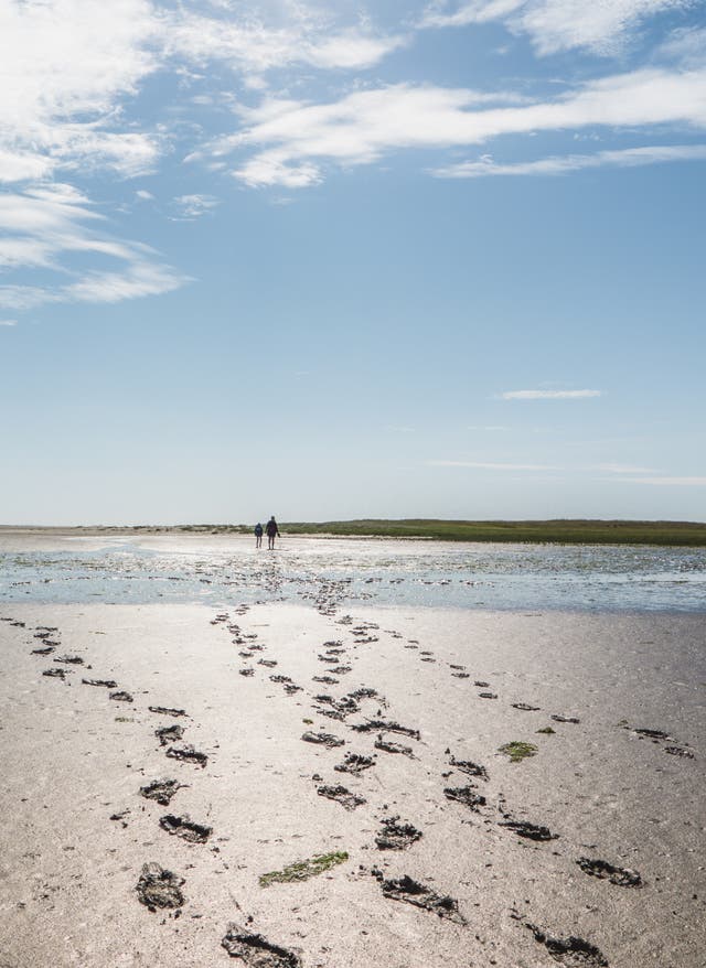 Nordsee Urlaub Nordsee Urlaub: Spuren im Wattenmeer bei Ebbe - im Hintergrund sieht man zwei Menschen spazieren