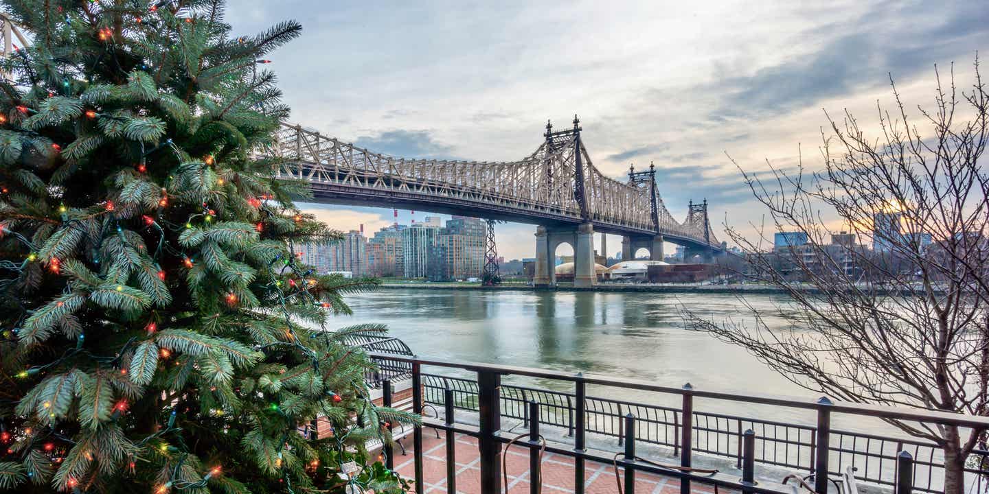 Blick auf die Brooklyn Brdige im Winter, im Vordergrund ein Weihnachtsbaum