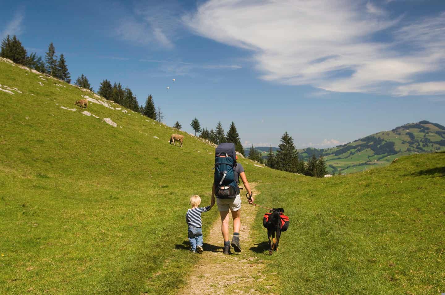 Wandern mit Hund - Umgang mit Weidetieren