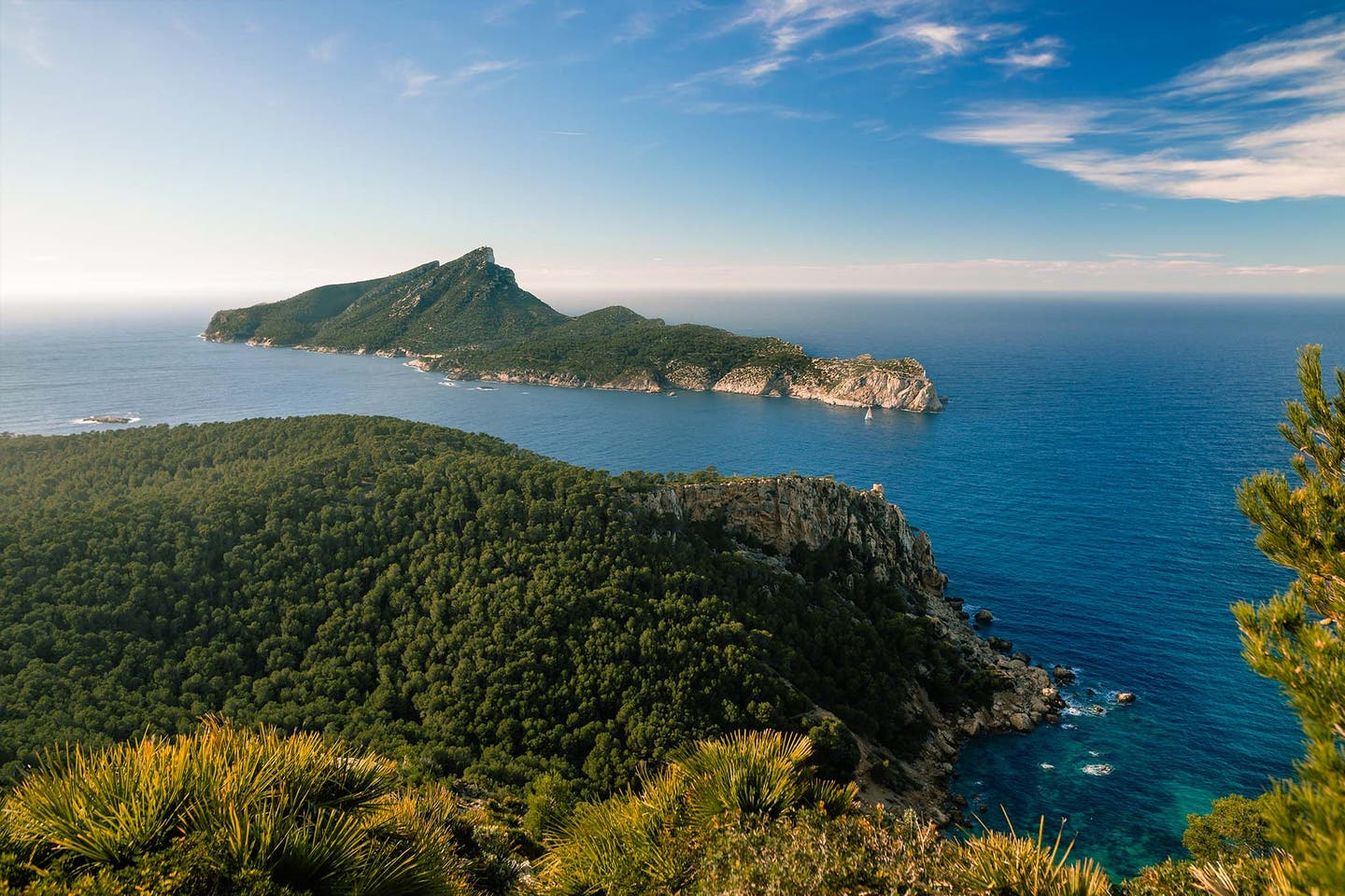 Grün-blaues Farbenspiel aus bewaldeten Küsten und dem Mittelmeer auf Mallorca