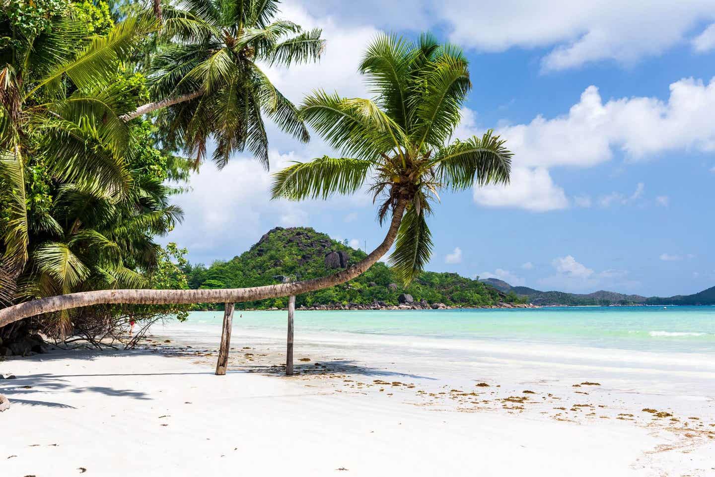 Cote d'Or: Ideal für die Strandhochzeit auf den Seychellen mit großer Gesellschaft