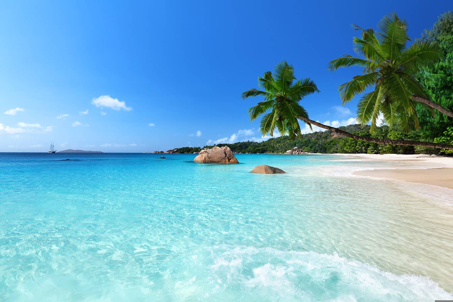 Rundreisen Indischer Ozean: Palmenstrand auf den Seychellen mit glasklarem Wasser