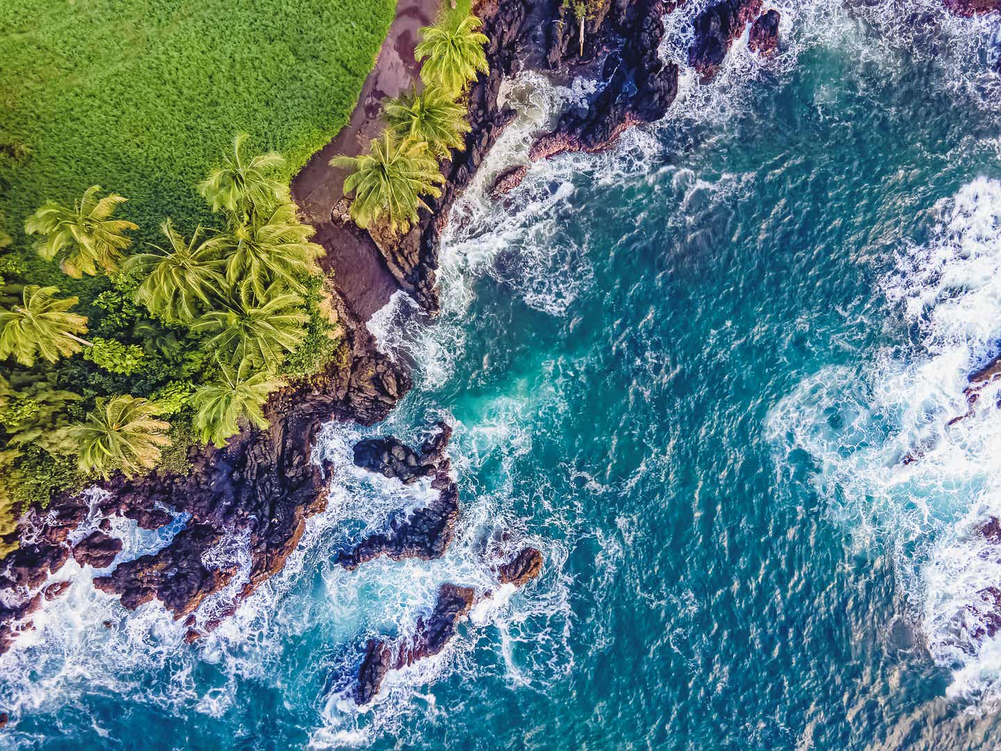 Drohnenaufnahme der felsigen Küste mit Palmen und türkisblauem Ozean auf der Insel Maui, Hawaii – beeindruckende Naturkulisse mit Wellen