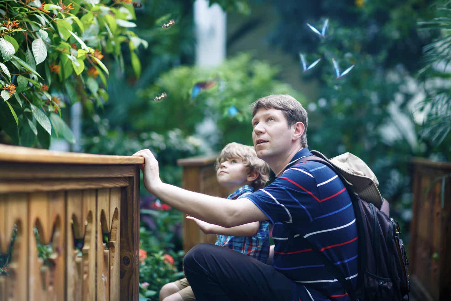 Bali Urlaub: Vater und Sohn im botanischen Garten