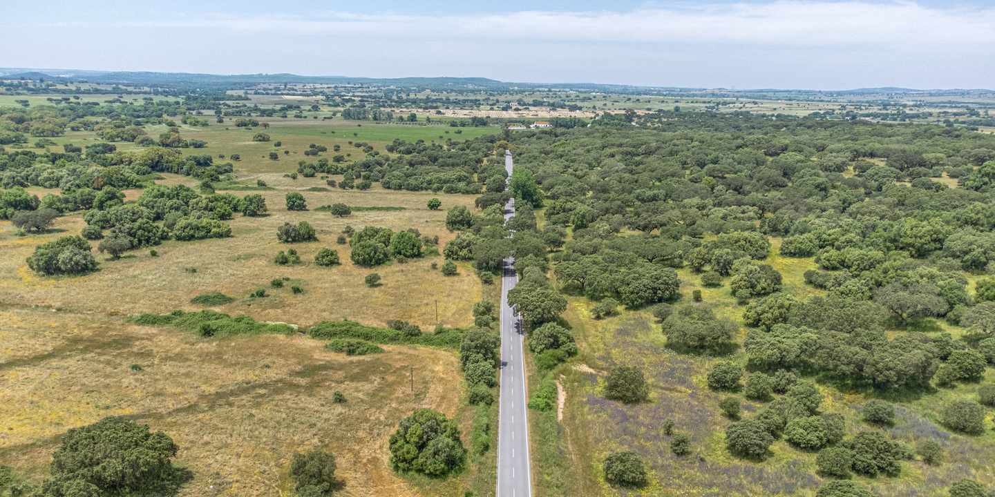 Luftaufnahme einer Straße im Alentejo mit weiten Korkeichenlandschaften und offenen Feldern in Portugal