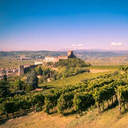 italien-venetien-soave-burg-klein-g-25869402.jpg