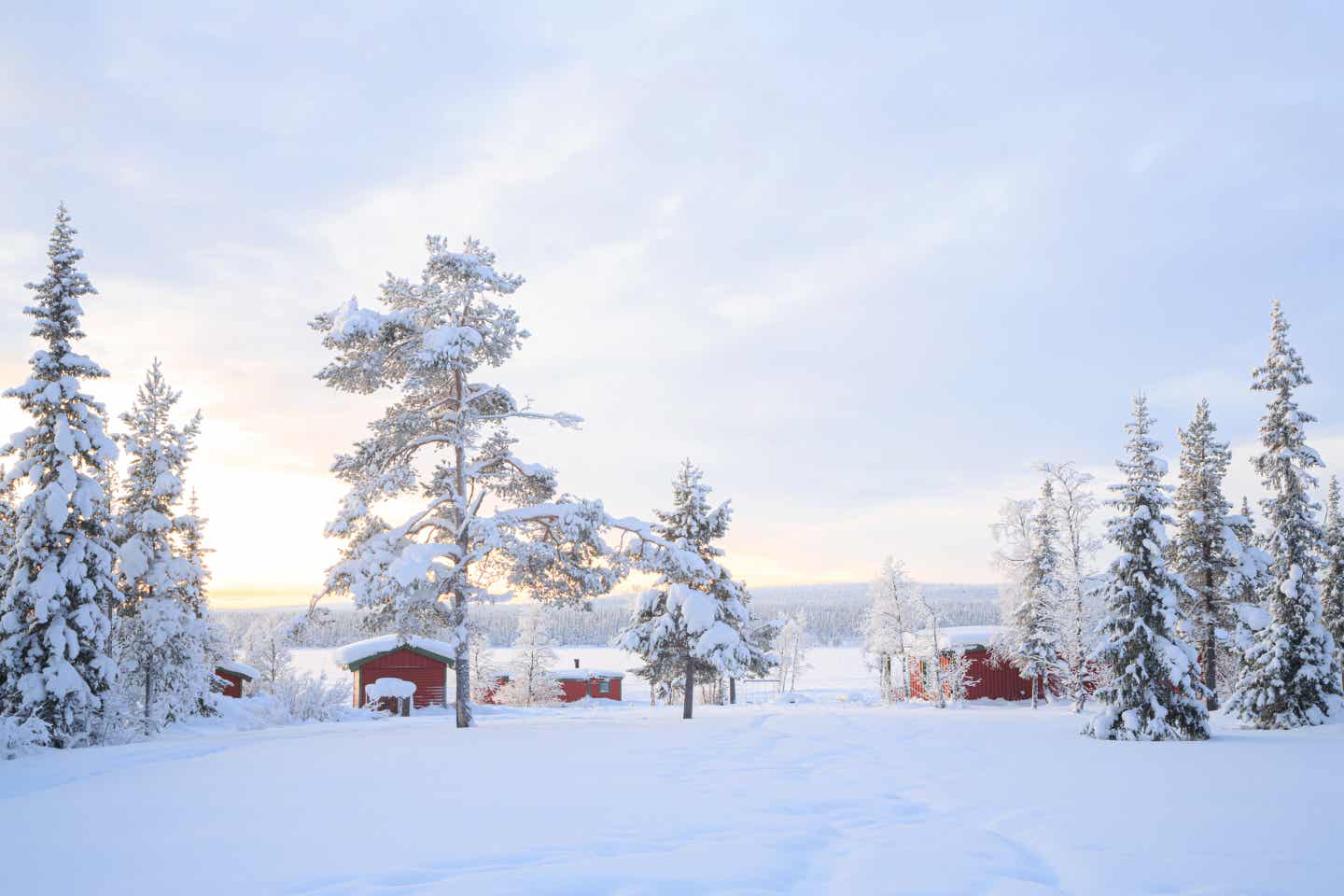 Lappland in Schweden zur besten Reisezeit erkunden