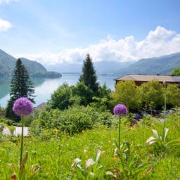 oesterreich-tirol-see-berge-t-456137003.jpg