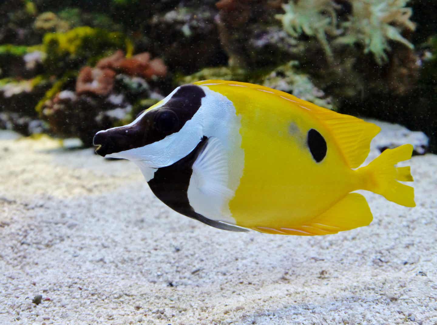 Urlaub in Stralsund – Fisch im Ozeaneum